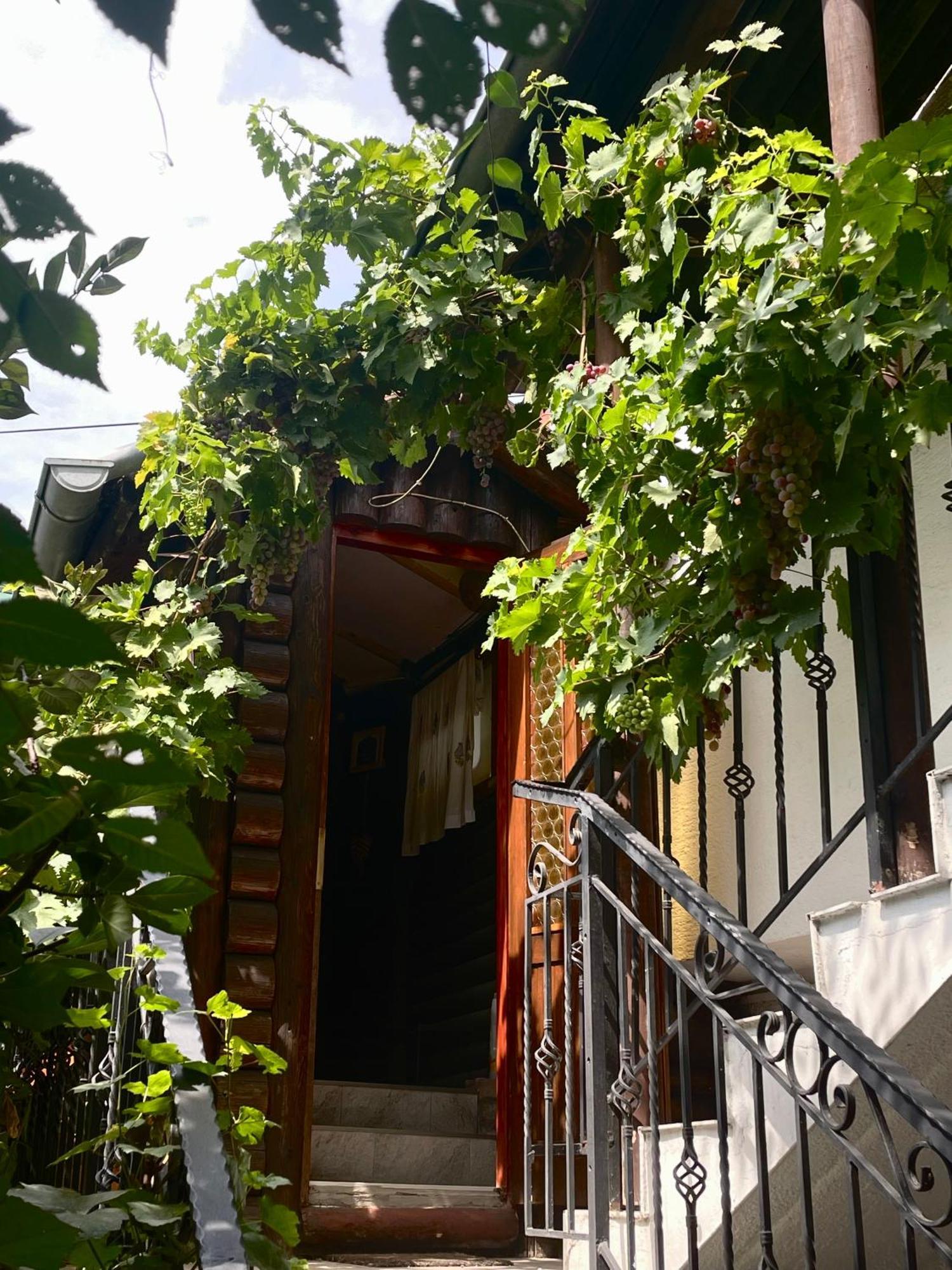 Apartment Jancic Smederevo Exteriör bild